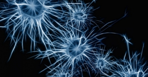 El reconocido neurocientífico Rodolfo Llinás en conversatorio en Cali