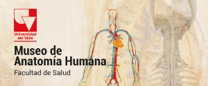 Museo de Anatomía Humana