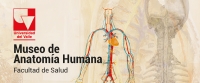 Museo de Anatomía Humana