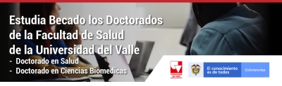 Becas de Excelencia Doctoral del Bicentenario