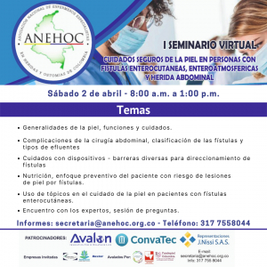 I Seminario Virtual: Cuidados seguros de la piel en personas con fístulas enterocutáneas, enteroatmosféricas y herida abdominal