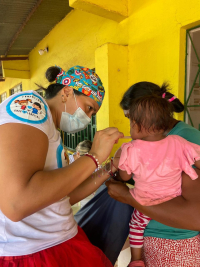 OPS alerta sobre la circulación simultánea de influenza y virus sincitial respiratorio en la región