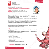 Actualización en Fascia: La red de soporte y conexión multisistémica