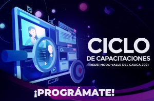 Ciclo de Conferencias RREDSI